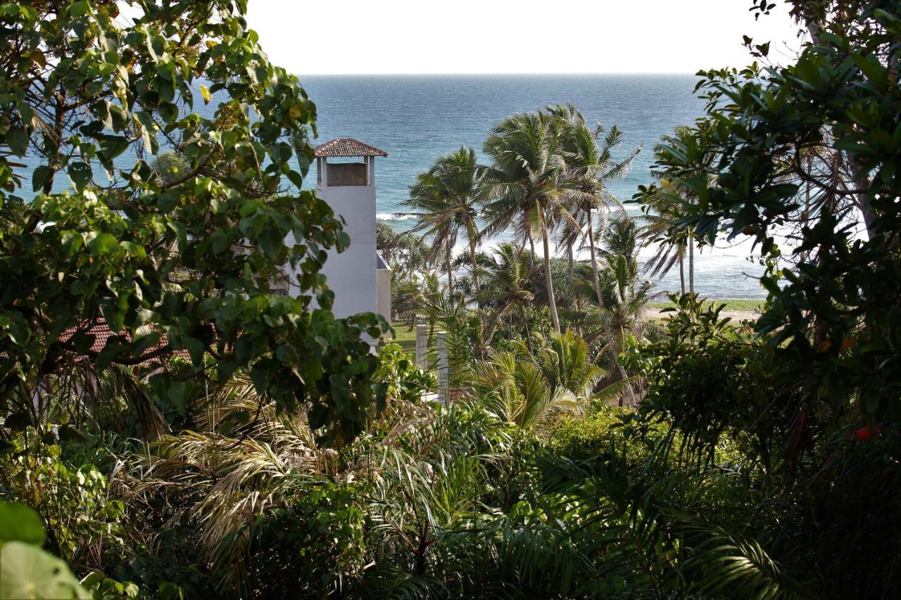 Sky Mountain Cafe With Seaview Bed and Breakfast Weligama Buitenkant foto